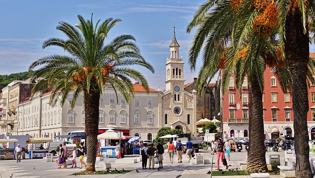 SPlit