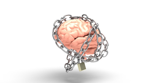 mozek a řetěz.jpg
